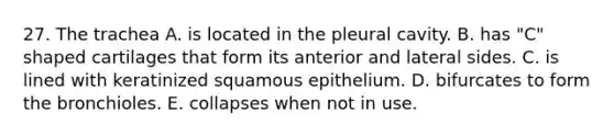 27. The trachea A. is located in the pleural cavity. B. has "C" shaped cartilages that form its anterior and lateral sides. C. is lined with keratinized squamous epithelium. D. bifurcates to form the bronchioles. E. collapses when not in use.
