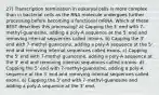 27) Transcription termination in eukaryal cells is more complex than in bacterial cells as the RNA molecule undergoes further processing before becoming a functional mRNA. Which of these BEST describes this processing? a) Capping the 3' end with 7-methyl-guanosine, adding a poly-A sequence at the 5' end and removing internal sequences called introns. b) Capping the 3' end with 7-methyl-guanosine, adding a poly-A sequence at the 5' end and removing internal sequences called exons. c) Capping the 5' end with 7-methyl guanosine, adding a poly-A sequence at the 3' end and removing internal sequences called introns. d) Capping the 5' end with 7-methyl-guanosine, adding a poly-A sequence at the 3' end and removing internal sequences called exons. e) Capping the 3' end with 7-methyl-guanosine and adding a poly-A sequence at the 3' end.