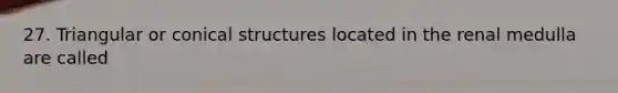 27. Triangular or conical structures located in the renal medulla are called