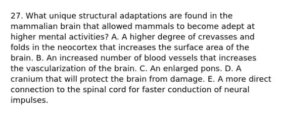 27. What unique structural adaptations are found in the mammalian brain that allowed mammals to become adept at higher mental activities? A. A higher degree of crevasses and folds in the neocortex that increases the surface area of the brain. B. An increased number of blood vessels that increases the vascularization of the brain. C. An enlarged pons. D. A cranium that will protect the brain from damage. E. A more direct connection to the spinal cord for faster conduction of neural impulses.