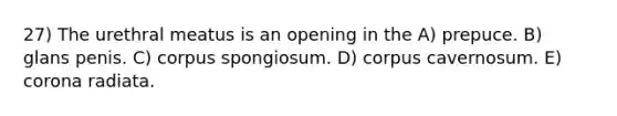 27) The urethral meatus is an opening in the A) prepuce. B) glans penis. C) corpus spongiosum. D) corpus cavernosum. E) corona radiata.