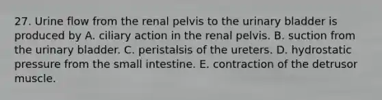 27. Urine flow from the renal pelvis to the urinary bladder is produced by A. ciliary action in the renal pelvis. B. suction from the urinary bladder. C. peristalsis of the ureters. D. hydrostatic pressure from the small intestine. E. contraction of the detrusor muscle.