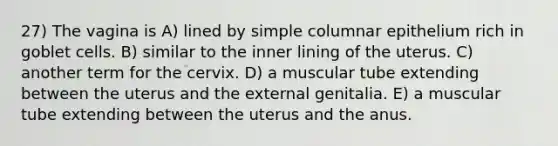 27) The vagina is A) lined by simple columnar epithelium rich in goblet cells. B) similar to the inner lining of the uterus. C) another term for the cervix. D) a muscular tube extending between the uterus and the external genitalia. E) a muscular tube extending between the uterus and the anus.