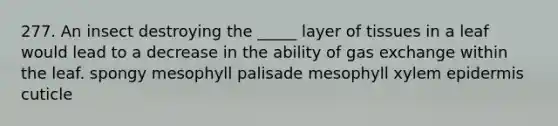 277. An insect destroying the _____ layer of tissues in a leaf would lead to a decrease in the ability of gas exchange within the leaf. spongy mesophyll palisade mesophyll xylem epidermis cuticle