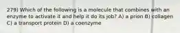 279) Which of the following is a molecule that combines with an enzyme to activate it and help it do its job? A) a prion B) collagen C) a transport protein D) a coenzyme