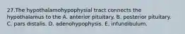 27.The hypothalamohypophysial tract connects the hypothalamus to the A. anterior pituitary. B. posterior pituitary. C. pars distalis. D. adenohypophysis. E. infundibulum.