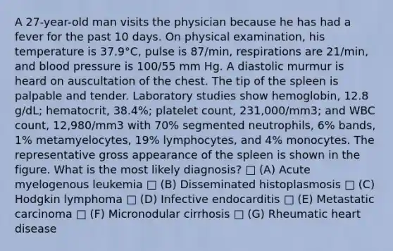 A 27-year-old man visits the physician because he has had a fever for the past 10 days. On physical examination, his temperature is 37.9°C, pulse is 87/min, respirations are 21/min, and <a href='https://www.questionai.com/knowledge/kD0HacyPBr-blood-pressure' class='anchor-knowledge'>blood pressure</a> is 100/55 mm Hg. A diastolic murmur is heard on auscultation of the chest. The tip of the spleen is palpable and tender. Laboratory studies show hemoglobin, 12.8 g/dL; hematocrit, 38.4%; platelet count, 231,000/mm3; and WBC count, 12,980/mm3 with 70% segmented neutrophils, 6% bands, 1% metamyelocytes, 19% lymphocytes, and 4% monocytes. The representative gross appearance of the spleen is shown in the figure. What is the most likely diagnosis? □ (A) Acute myelogenous leukemia □ (B) Disseminated histoplasmosis □ (C) Hodgkin lymphoma □ (D) Infective endocarditis □ (E) Metastatic carcinoma □ (F) Micronodular cirrhosis □ (G) Rheumatic heart disease