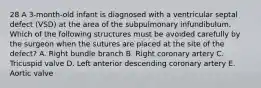 28 A 3-month-old infant is diagnosed with a ventricular septal defect (VSD) at the area of the subpulmonary infundibulum. Which of the following structures must be avoided carefully by the surgeon when the sutures are placed at the site of the defect? A. Right bundle branch B. Right coronary artery C. Tricuspid valve D. Left anterior descending coronary artery E. Aortic valve