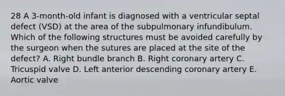 28 A 3-month-old infant is diagnosed with a ventricular septal defect (VSD) at the area of the subpulmonary infundibulum. Which of the following structures must be avoided carefully by the surgeon when the sutures are placed at the site of the defect? A. Right bundle branch B. Right coronary artery C. Tricuspid valve D. Left anterior descending coronary artery E. Aortic valve