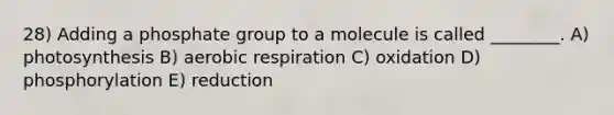 28) Adding a phosphate group to a molecule is called ________. A) photosynthesis B) <a href='https://www.questionai.com/knowledge/kyxGdbadrV-aerobic-respiration' class='anchor-knowledge'>aerobic respiration</a> C) oxidation D) phosphorylation E) reduction