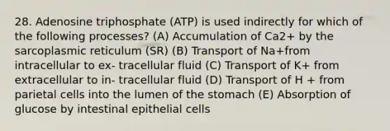 28. Adenosine triphosphate (ATP) is used indirectly for which of the following processes? (A) Accumulation of Ca2+ by the sarcoplasmic reticulum (SR) (B) Transport of Na+from intracellular to ex- tracellular fluid (C) Transport of K+ from extracellular to in- tracellular fluid (D) Transport of H + from parietal cells into the lumen of the stomach (E) Absorption of glucose by intestinal epithelial cells