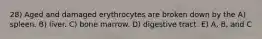 28) Aged and damaged erythrocytes are broken down by the A) spleen. B) liver. C) bone marrow. D) digestive tract. E) A, B, and C