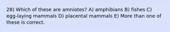 28) Which of these are amniotes? A) amphibians B) fishes C) egg-laying mammals D) placental mammals E) More than one of these is correct.