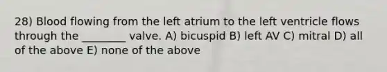 28) Blood flowing from the left atrium to the left ventricle flows through the ________ valve. A) bicuspid B) left AV C) mitral D) all of the above E) none of the above