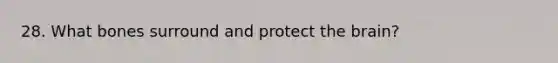 28. What bones surround and protect the brain?