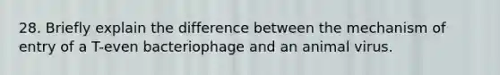 28. Briefly explain the difference between the mechanism of entry of a T-even bacteriophage and an animal virus.