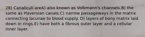 28) Canaliculi areA) also known as Volkmann's channels.B) the same as Haversian canals.C) narrow passageways in the matrix connecting lacunae to blood supply. D) layers of bony matrix laid down in rings.E) have both a fibrous outer layer and a cellular inner layer.