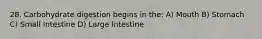 28. Carbohydrate digestion begins in the: A) Mouth B) Stomach C) Small Intestine D) Large Intestine