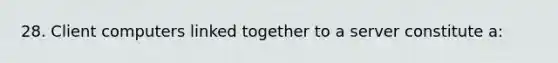 28. Client computers linked together to a server constitute a: