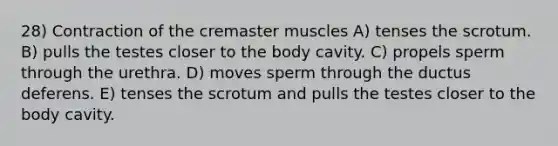 28) Contraction of the cremaster muscles A) tenses the scrotum. B) pulls the testes closer to the body cavity. C) propels sperm through the urethra. D) moves sperm through the ductus deferens. E) tenses the scrotum and pulls the testes closer to the body cavity.