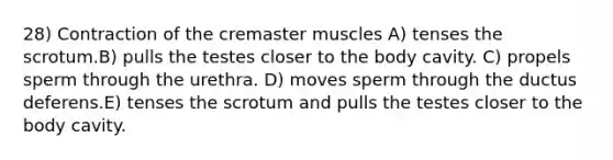 28) Contraction of the cremaster muscles A) tenses the scrotum.B) pulls the testes closer to the body cavity. C) propels sperm through the urethra. D) moves sperm through the ductus deferens.E) tenses the scrotum and pulls the testes closer to the body cavity.