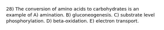 28) The conversion of amino acids to carbohydrates is an example of A) amination. B) gluconeogenesis. C) substrate level phosphorylation. D) beta-oxidation. E) electron transport.