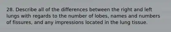 28. Describe all of the differences between the right and left lungs with regards to the number of lobes, names and numbers of fissures, and any impressions located in the lung tissue.