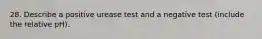 28. Describe a positive urease test and a negative test (include the relative pH).