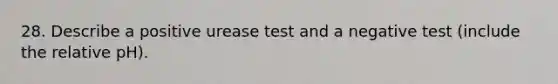 28. Describe a positive urease test and a negative test (include the relative pH).