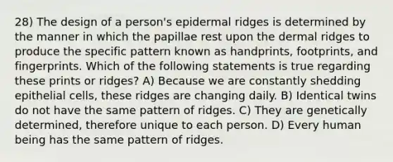 28) The design of a person's epidermal ridges is determined by the manner in which the papillae rest upon the dermal ridges to produce the specific pattern known as handprints, footprints, and fingerprints. Which of the following statements is true regarding these prints or ridges? A) Because we are constantly shedding epithelial cells, these ridges are changing daily. B) Identical twins do not have the same pattern of ridges. C) They are genetically determined, therefore unique to each person. D) Every human being has the same pattern of ridges.