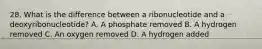 28. What is the difference between a ribonucleotide and a deoxyribonucleotide? A. A phosphate removed B. A hydrogen removed C. An oxygen removed D. A hydrogen added