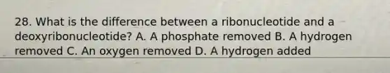 28. What is the difference between a ribonucleotide and a deoxyribonucleotide? A. A phosphate removed B. A hydrogen removed C. An oxygen removed D. A hydrogen added