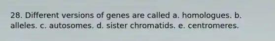 28. Different versions of genes are called a. homologues. b. alleles. c. autosomes. d. sister chromatids. e. centromeres.