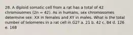 28. A diploid somatic cell from a rat has a total of 42 chromosomes (2n = 42). As in humans, sex chromosomes determine sex: XX in females and XY in males. What is the total number of telomeres in a rat cell in G2? a. 21 b. 42 c. 84 d. 126 e. 168