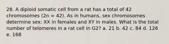 28. A diploid somatic cell from a rat has a total of 42 chromosomes (2n = 42). As in humans, sex chromosomes determine sex: XX in females and XY in males. What is the total number of telomeres in a rat cell in G2? a. 21 b. 42 c. 84 d. 126 e. 168