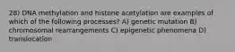 28) DNA methylation and histone acetylation are examples of which of the following processes? A) genetic mutation B) chromosomal rearrangements C) epigenetic phenomena D) translocation