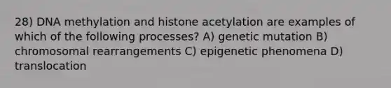 28) DNA methylation and histone acetylation are examples of which of the following processes? A) genetic mutation B) chromosomal rearrangements C) epigenetic phenomena D) translocation