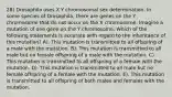 28) Drosophila uses X Y chromosomal sex determination. In some species of Drosophila, there are genes on the Y chromosome that do not occur on the X chromosome. Imagine a mutation of one gene on the Y chromosome. Which of the following statements is accurate with regard to the inheritance of this mutation? A). This mutation is transmitted to all offspring of a male with the mutation. B). This mutation is transmitted to all male but no female offspring of a male with the mutation. C). This mutation is transmitted to all offspring of a female with the mutation. D). This mutation is transmitted to all male but no female offspring of a female with the mutation. E). This mutation is transmitted to all offspring of both males and females with the mutation.