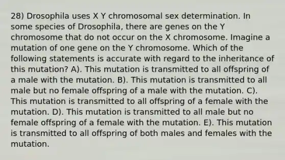 28) Drosophila uses X Y chromosomal sex determination. In some species of Drosophila, there are genes on the Y chromosome that do not occur on the X chromosome. Imagine a mutation of one gene on the Y chromosome. Which of the following statements is accurate with regard to the inheritance of this mutation? A). This mutation is transmitted to all offspring of a male with the mutation. B). This mutation is transmitted to all male but no female offspring of a male with the mutation. C). This mutation is transmitted to all offspring of a female with the mutation. D). This mutation is transmitted to all male but no female offspring of a female with the mutation. E). This mutation is transmitted to all offspring of both males and females with the mutation.