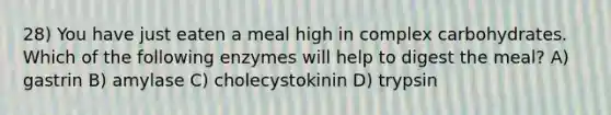 28) You have just eaten a meal high in complex carbohydrates. Which of the following enzymes will help to digest the meal? A) gastrin B) amylase C) cholecystokinin D) trypsin