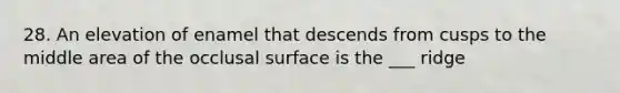 28. An elevation of enamel that descends from cusps to the middle area of the occlusal surface is the ___ ridge