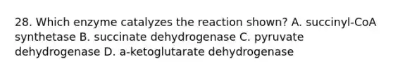 28. Which enzyme catalyzes the reaction shown? A. succinyl-CoA synthetase B. succinate dehydrogenase C. pyruvate dehydrogenase D. a-ketoglutarate dehydrogenase