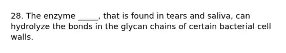 28. The enzyme _____, that is found in tears and saliva, can hydrolyze the bonds in the glycan chains of certain bacterial cell walls.