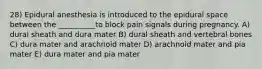 28) Epidural anesthesia is introduced to the epidural space between the __________to block pain signals during pregnancy. A) dural sheath and dura mater B) dural sheath and vertebral bones C) dura mater and arachnoid mater D) arachnoid mater and pia mater E) dura mater and pia mater