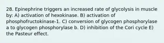 28. Epinephrine triggers an increased rate of glycolysis in muscle by: A) activation of hexokinase. B) activation of phosphofructokinase-1. C) conversion of glycogen phosphorylase a to glycogen phosphorylase b. D) inhibition of the Cori cycle E) the Pasteur effect.