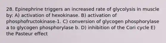 28. Epinephrine triggers an increased rate of glycolysis in muscle by: A) activation of hexokinase. B) activation of phosphofructokinase-1. C) conversion of glycogen phosphorylase a to glycogen phosphorylase b. D) inhibition of the Cori cycle E) the Pasteur effect