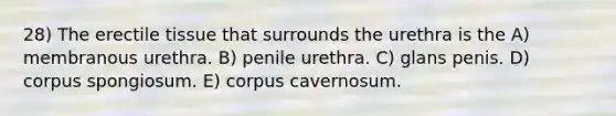 28) The erectile tissue that surrounds the urethra is the A) membranous urethra. B) penile urethra. C) glans penis. D) corpus spongiosum. E) corpus cavernosum.