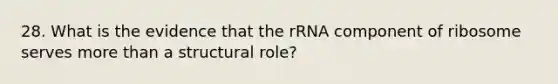 28. What is the evidence that the rRNA component of ribosome serves more than a structural role?