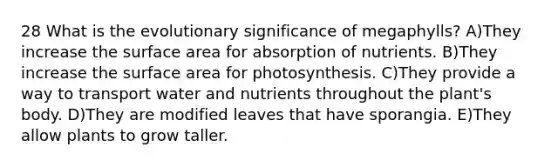 28 What is the evolutionary significance of megaphylls? A)They increase the surface area for absorption of nutrients. B)They increase the surface area for photosynthesis. C)They provide a way to transport water and nutrients throughout the plant's body. D)They are modified leaves that have sporangia. E)They allow plants to grow taller.