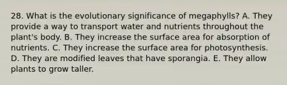 28. What is the evolutionary significance of megaphylls? A. They provide a way to transport water and nutrients throughout the plant's body. B. They increase the surface area for absorption of nutrients. C. They increase the surface area for photosynthesis. D. They are modified leaves that have sporangia. E. They allow plants to grow taller.